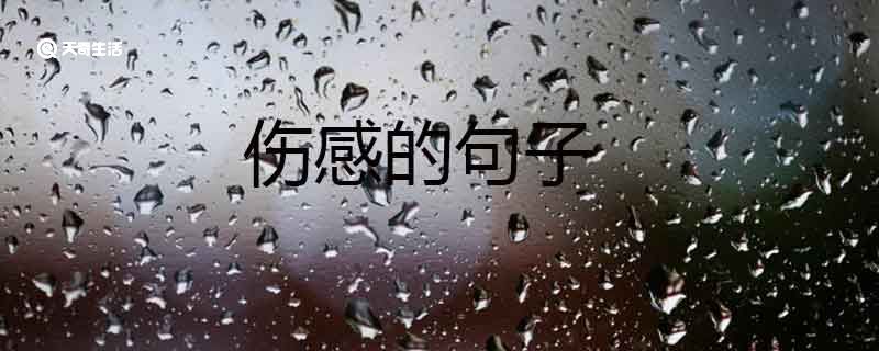 伤感的句子 伤感短句