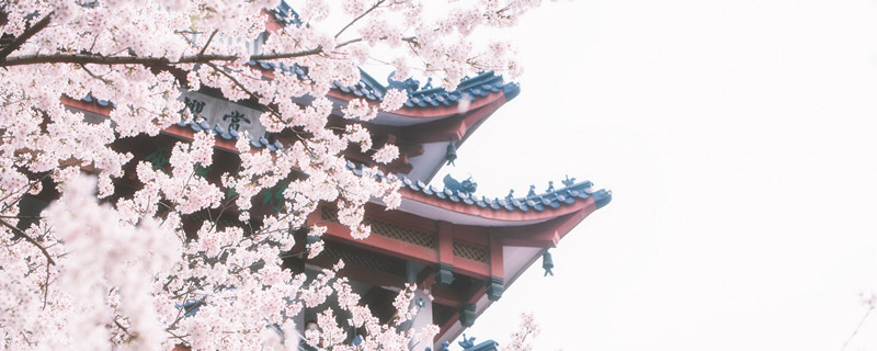 傲娇是什么意思 傲娇是指什么意思