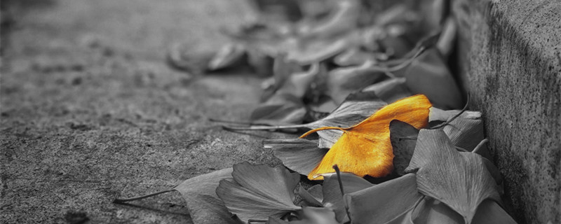 公分和厘米一样吗 公分和厘米有区别吗