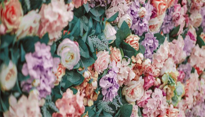 月季花的特点 月季花的特点是