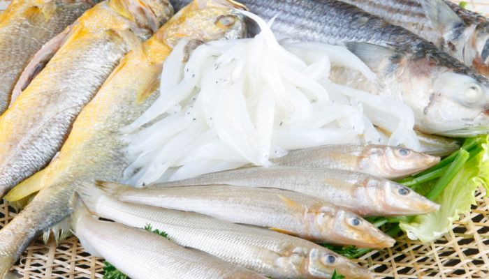 鱼放冰箱冷冻一年以上还能吃吗  鱼放冰箱冷冻一年以上可以吃吗