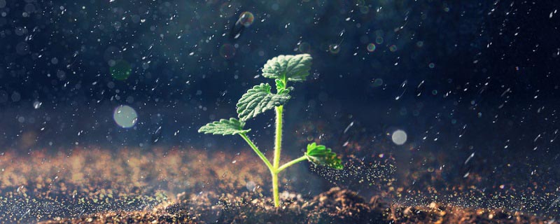 台风来袭时如何正确进行防范 台风注意防范