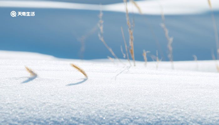 屈原的作品有哪些 屈原的作品有哪些古诗