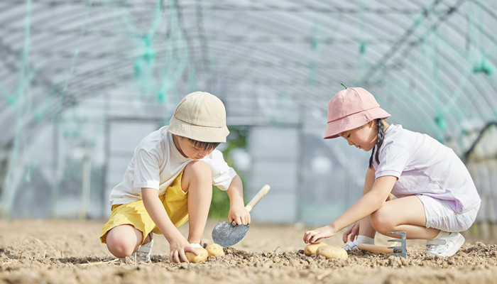 哥哥与妹妹的关系填什么关系  哥妹算什么关系