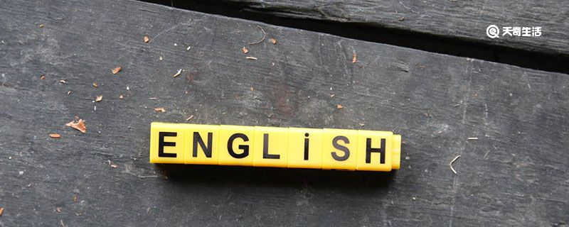 tip是什么意思 tip是什么意思中文翻译成