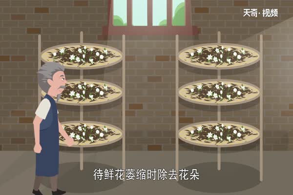 茉莉花茶属于什么茶 茉莉花茶是什么茶