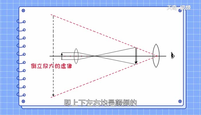 显微镜成像特点 显微镜的成像原理