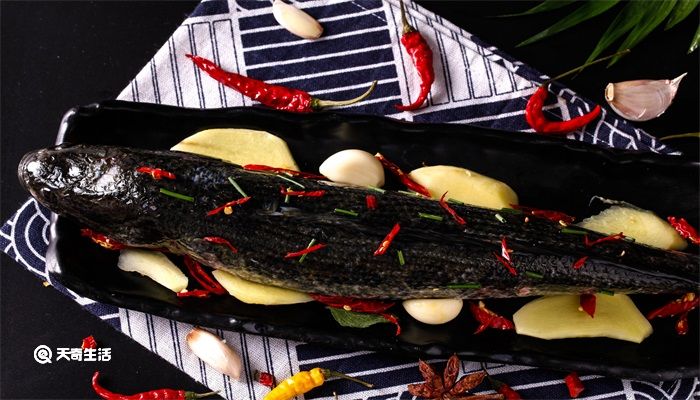 黑鱼又叫什么鱼名称 黑鱼又叫什么鱼