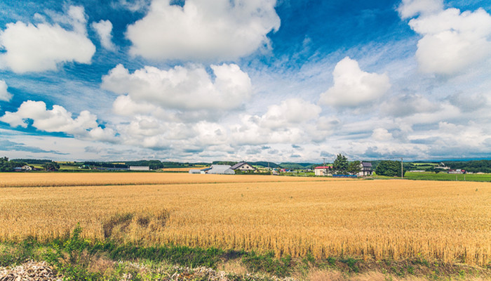 张家界和湘西是一个地方吗 张家界属于湘西吗