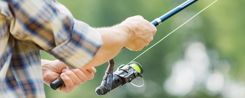钓鲫鱼用什么鱼饵最好 什么鱼饵钓鲫鱼最好