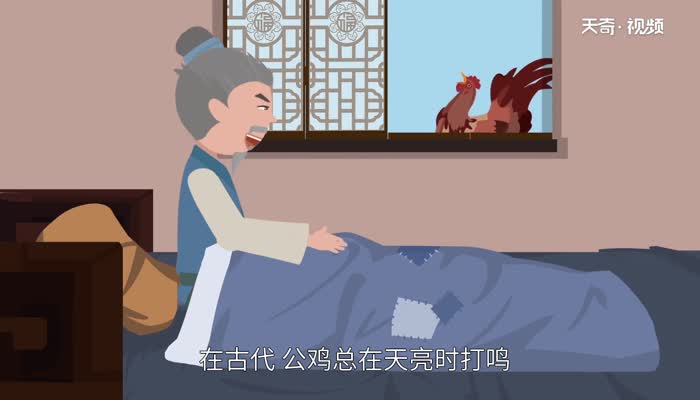 鸡肉是寒性食物吗 鸡肉属于寒性吗