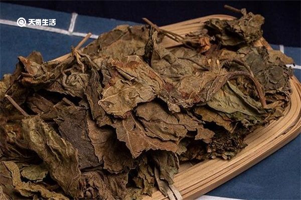 臭梧桐叶的功效与作用 臭梧桐叶的功效与作用有哪些