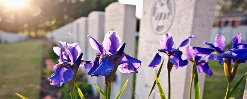 意外死亡有哪些 意外死亡有哪些情况