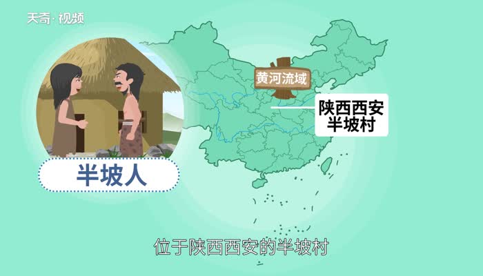 半坡人生活在什么流域 半坡人距今约多少年