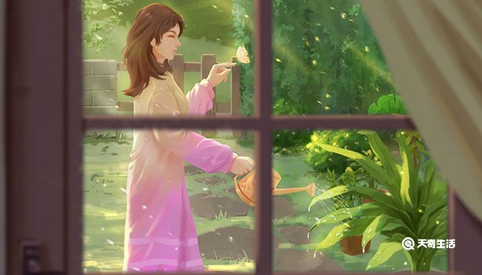 小苏打的学名叫什么 小苏打的学名是什么