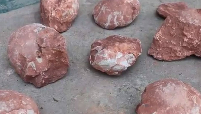 化石的形成需要多少年 化石的形成需要多久