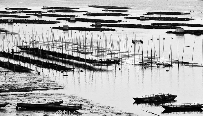 海苔算海鲜类吗 海苔是不是海鲜