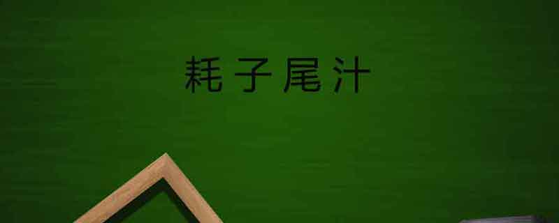 耗子尾汁什么意思 耗子尾汁的意思