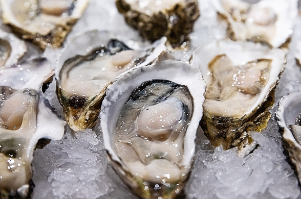 生蚝煮熟了还能叫生蚝吗 为啥生蚝煮熟了还叫生蚝