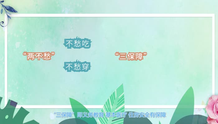 两不愁三保障分别指的是 两不愁和三保障指的是什么