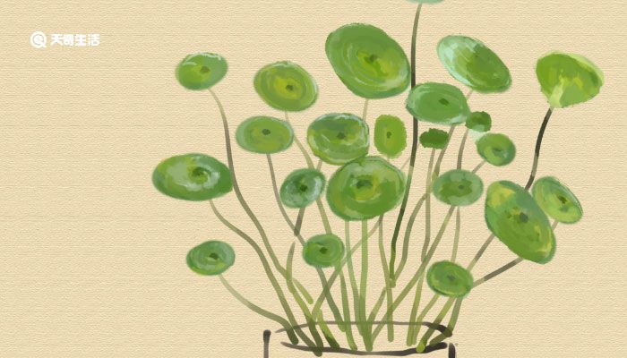 简短正能量语录 励志语录简短正能量