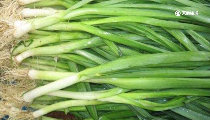 新鲜蒜苗怎么长期保存 新鲜蒜苗保存方法
