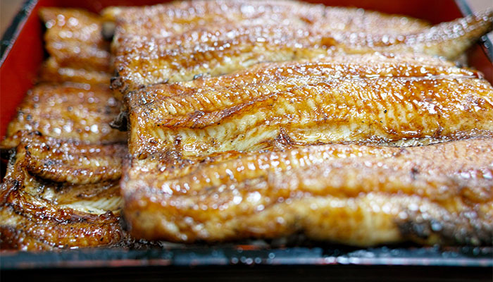 白露节气有哪些海鲜好吃又新鲜 适合白露节气吃的海鲜