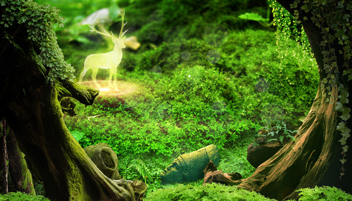 身穿鳞甲是什么动物 鳞甲目动物有哪些