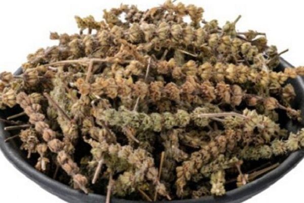 荆介穗的功效与作用 荆介穗主要有什么功效