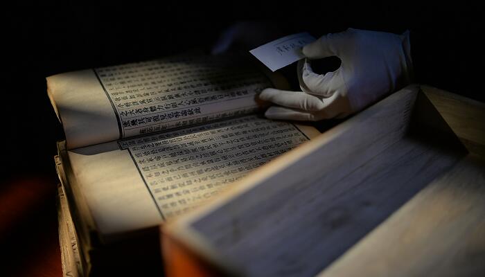 耗子尾汁什么意思 耗子尾汁的意思