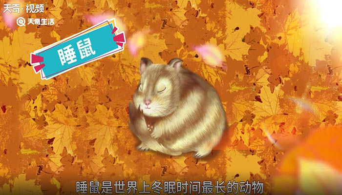 世界上冬眠时间最长的动物 世界上冬眠时间最长的动物是什么