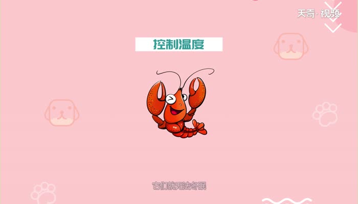 小龙虾什么时候最肥 小龙虾最肥是什么时候