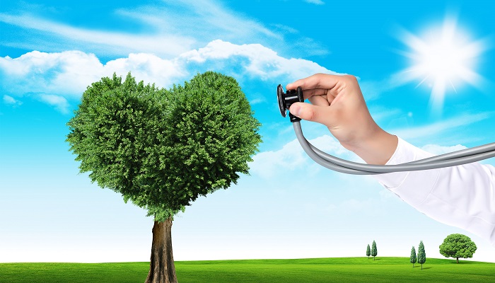 心理学四种气质类型代表人物是谁 心理学气质类型及代表人物