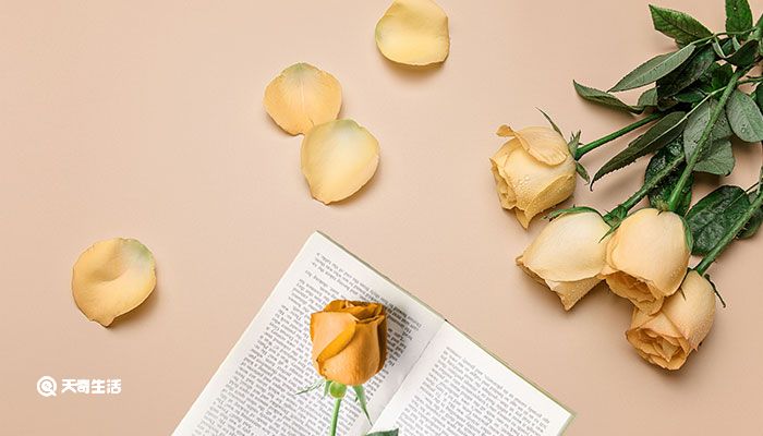 黄玫瑰代表什么意思 黄玫瑰代表的意思