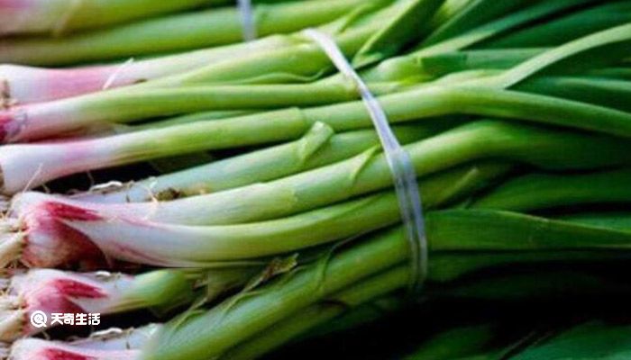 新鲜蒜苗怎么长期保存 新鲜蒜苗保存方法