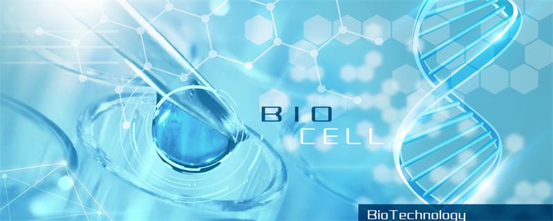 生石灰化学式 生石灰的化学式如何表示