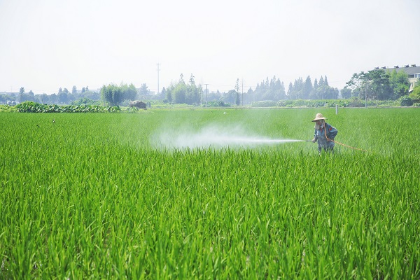 代森锰锌的功效与作用 代森锰锌的功效和作用