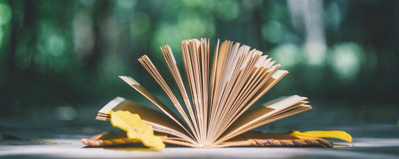 茜读xi还是qian  茜应该读什么