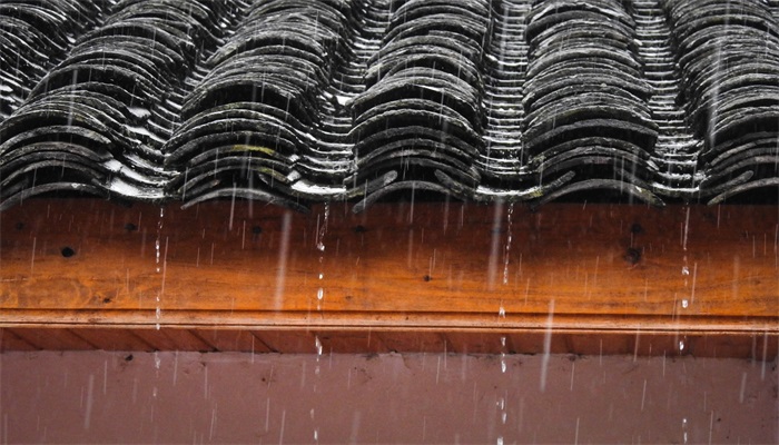 梅雨的危害 梅雨的危害有哪些