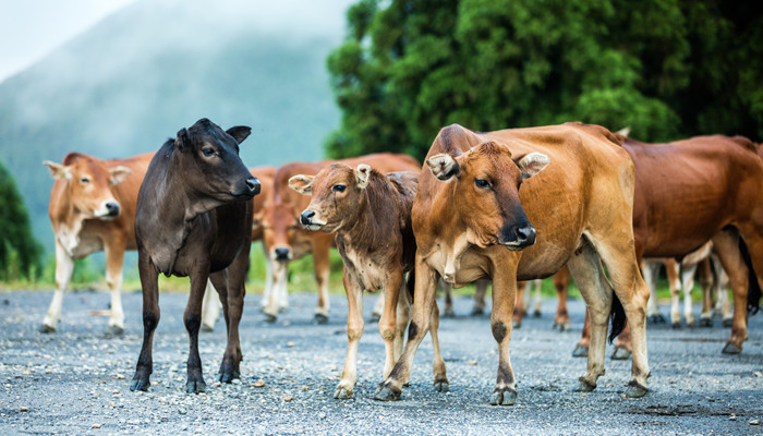 濠州是现在的哪个城市 濠州是现在的什么城市