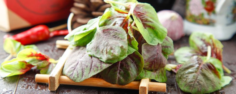 苋菜怎么读 苋菜的读法