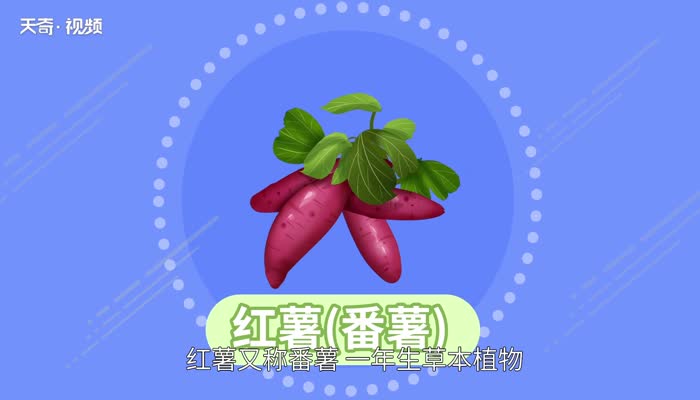 红薯的热量 红薯的热量是多少