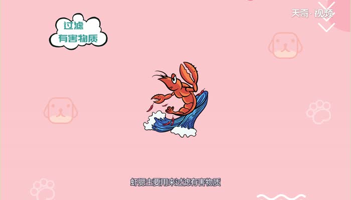 小龙虾为什么要剪头  小龙虾要剪头的原因