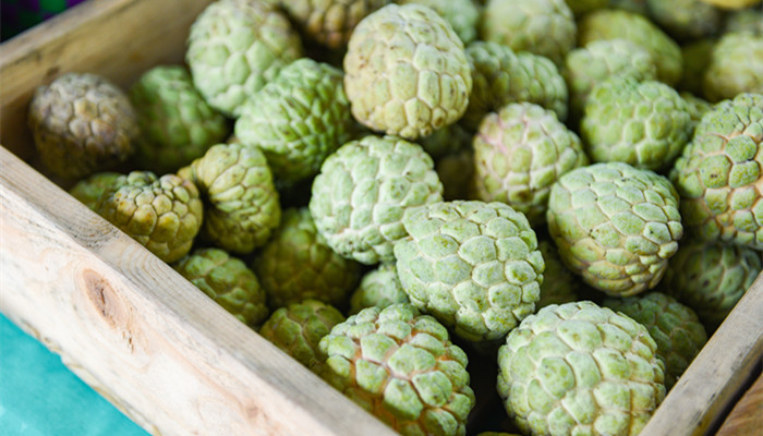 广东特产水果 广东特产水果有哪些