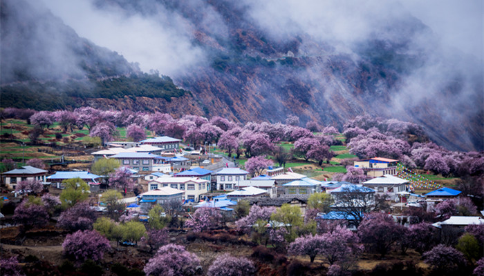 桃花潭在哪个省份 桃花潭在什么省份