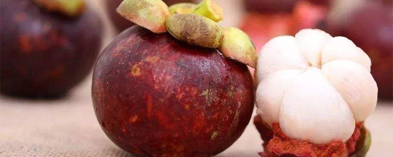 山竹和火龙果可以一起吃吗 山竹和火龙果同吃的后果