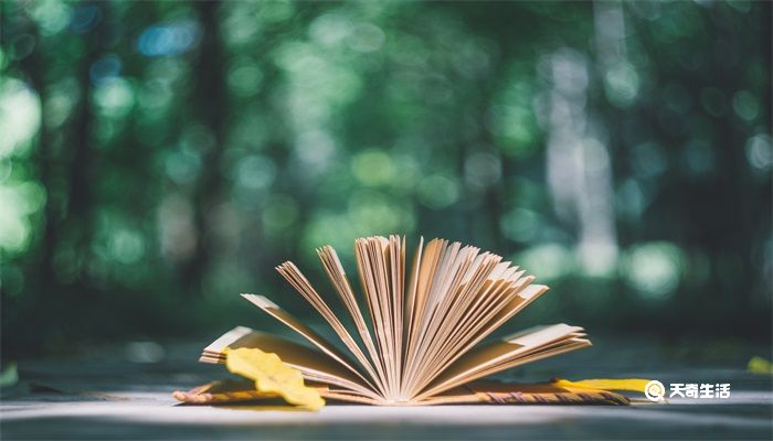 是在下输了是什么梗 是在下输了是什么意思