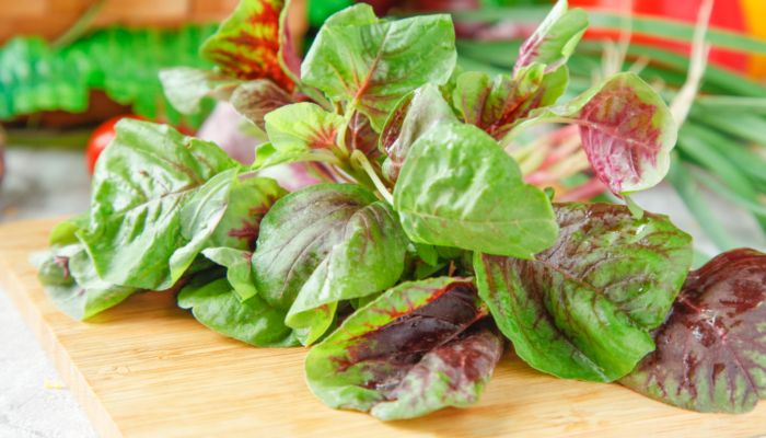 苋菜怎么读 苋菜的读法