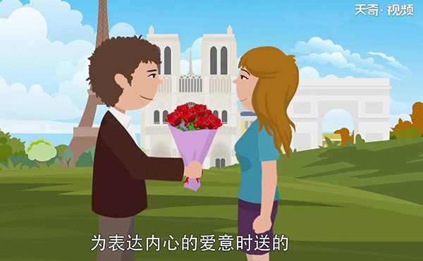 送玫瑰花朵数的含义 如何送玫瑰花