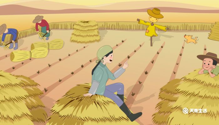 劳动的句子唯美简短 赞美劳动的简短句子